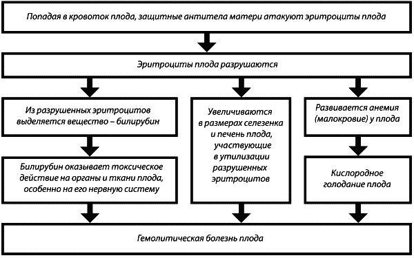 Материнство. От зачатия до родов