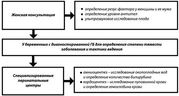 Материнство. От зачатия до родов