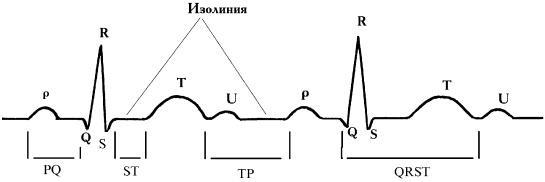 Полный медицинский справочник фельдшера