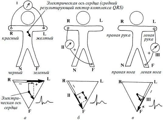 Полный медицинский справочник фельдшера