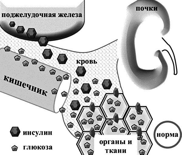 Бесплодие – не приговор!