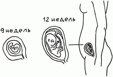 1001 вопрос будущей мамы. Большая книга ответов на все вопросы