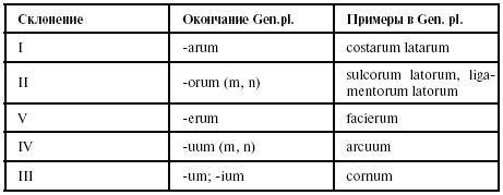 Латинский язык для медиков. Конспект лекций