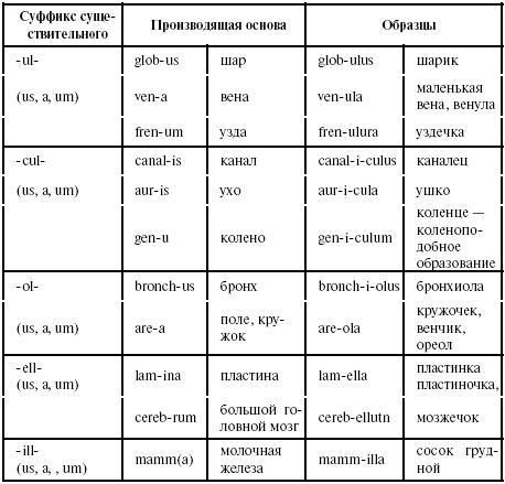 Латинский язык для медиков. Конспект лекций