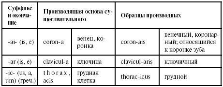 Латинский язык для медиков. Конспект лекций