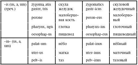 Латинский язык для медиков. Конспект лекций