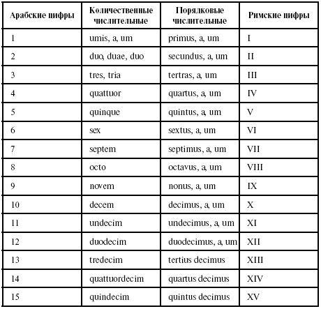 Латинский язык для медиков. Конспект лекций