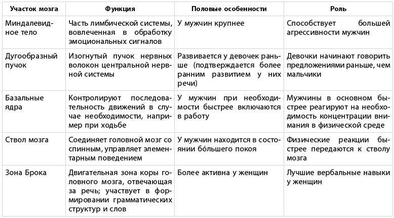 Какого пола ваш мозг?