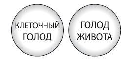 Интуитивное питание. Как перестать беспокоиться о еде и похудеть