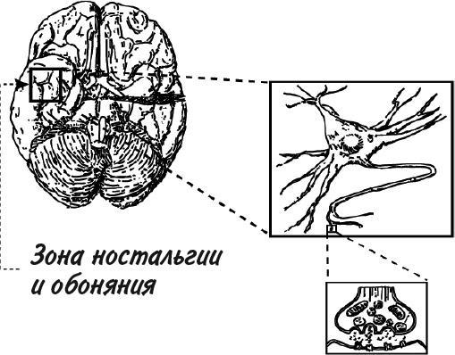 Невероятное путешествие мистера Спивета