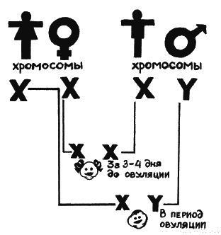 Как говорить с сыном. Самые сложные вопросы