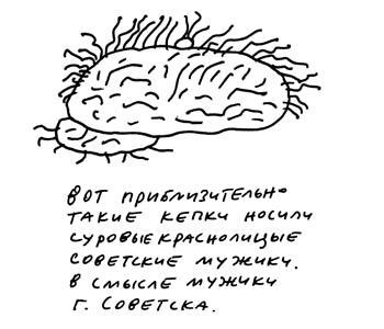 Заметки пассажира. 24 вагона с комментариями и рисунками автора