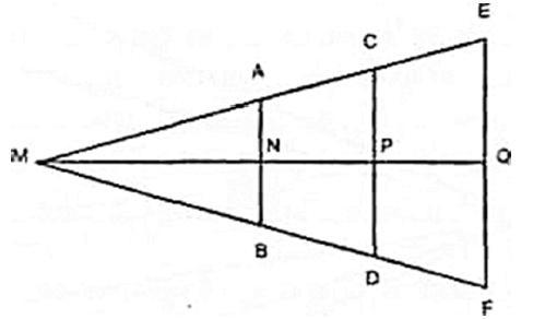 Рефлексы головного мозга