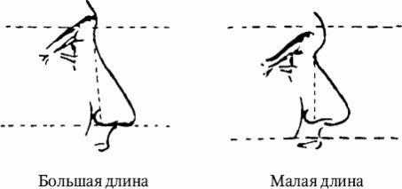 Как распознать преступника