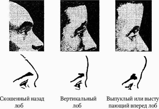 Как распознать преступника