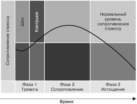 Психология лжи и обмана. Как разоблачить лжеца