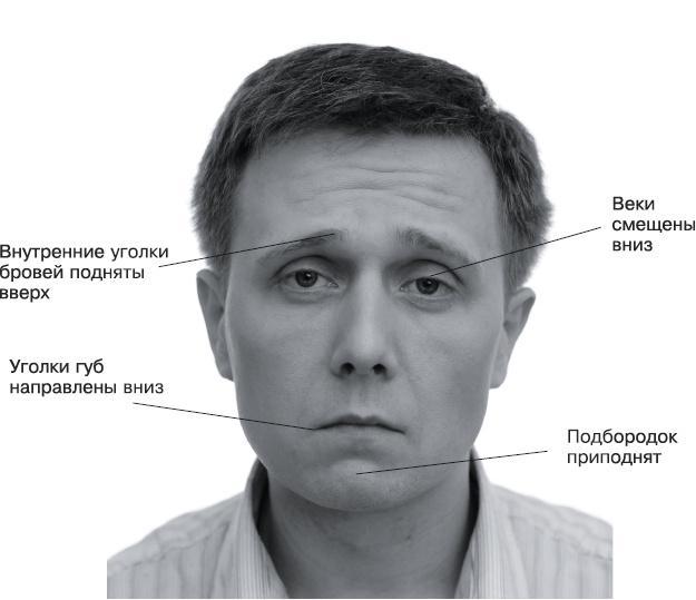 Психология лжи и обмана. Как разоблачить лжеца