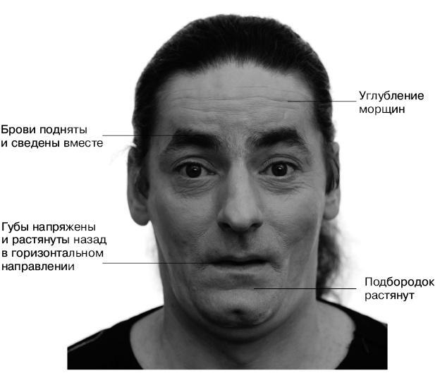 Психология лжи и обмана. Как разоблачить лжеца