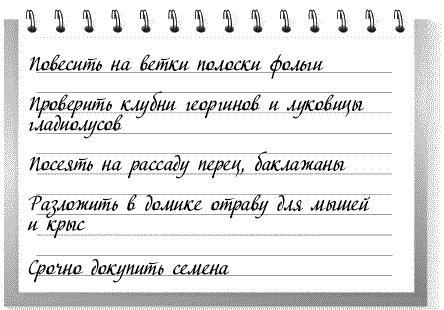 Сад и огород: все делаем вовремя. Сеем, удобряем, собираем