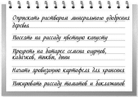 Сад и огород: все делаем вовремя. Сеем, удобряем, собираем