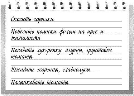 Сад и огород: все делаем вовремя. Сеем, удобряем, собираем