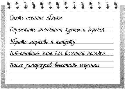 Сад и огород: все делаем вовремя. Сеем, удобряем, собираем