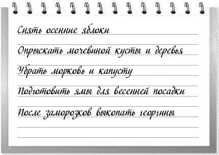 Сад и огород: все делаем вовремя. Сеем, удобряем, собираем