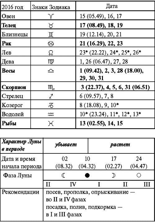 Сад и огород: все делаем вовремя. Сеем, удобряем, собираем