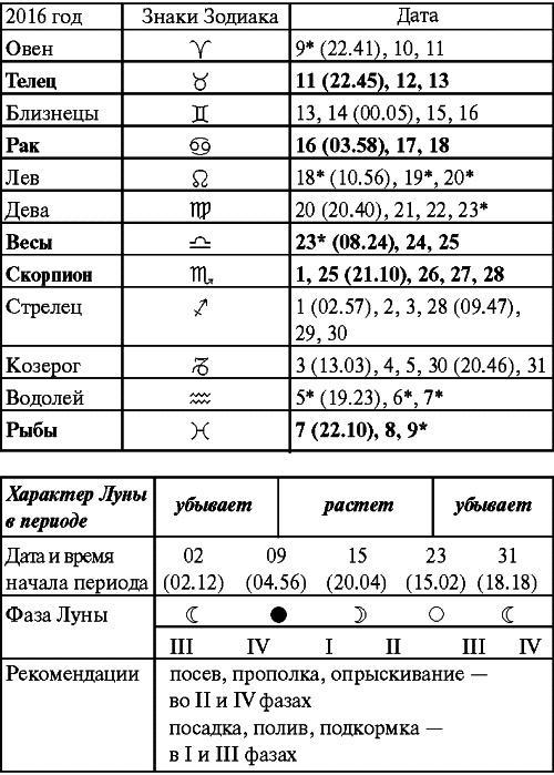 Сад и огород: все делаем вовремя. Сеем, удобряем, собираем