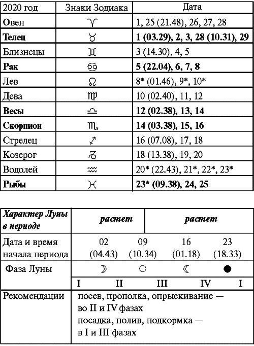 Сад и огород: все делаем вовремя. Сеем, удобряем, собираем