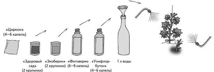 Иллюстрированная энциклопедия огородника для новичков