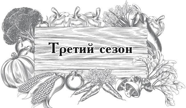 Большой урожай на маленьких грядках. Все секреты повышения урожайности