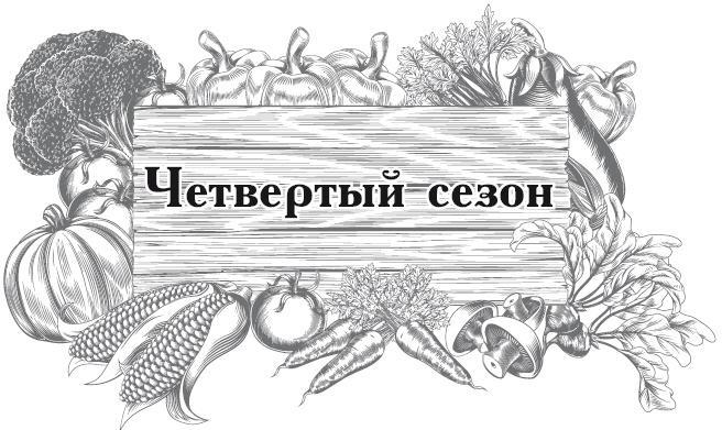 Большой урожай на маленьких грядках. Все секреты повышения урожайности