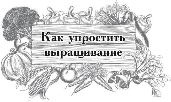 Большой урожай на маленьких грядках. Все секреты повышения урожайности