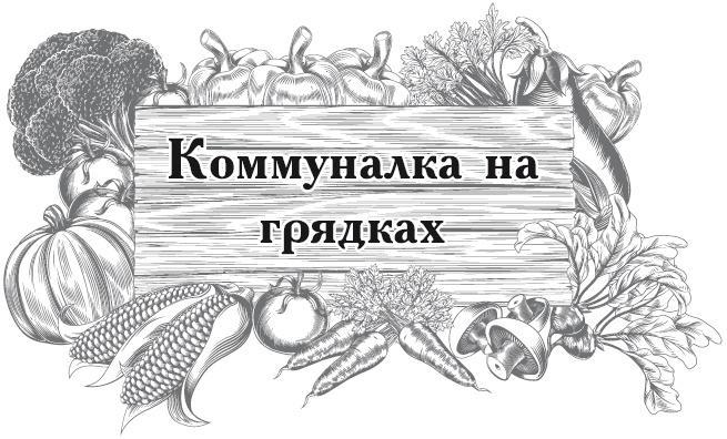 Большой урожай на маленьких грядках. Все секреты повышения урожайности