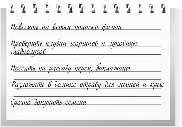 Большой урожай на маленьких грядках. Все секреты повышения урожайности