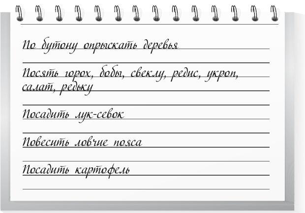 Большой урожай на маленьких грядках. Все секреты повышения урожайности