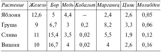 Большой урожай на маленьких грядках. Все секреты повышения урожайности