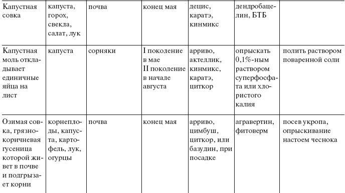 Большой урожай на маленьких грядках. Все секреты повышения урожайности