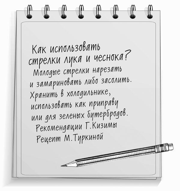 Консервирование для лентяек. Вкусные и надежные заготовки по-быстрому