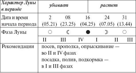 Виноград без труда