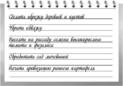 Чудо-грядки: не копаем, а урожай собираем