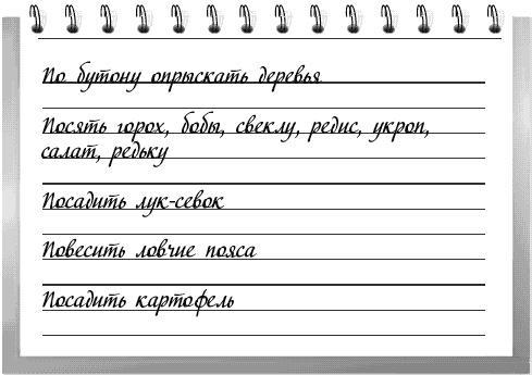 Чудо-грядки: не копаем, а урожай собираем