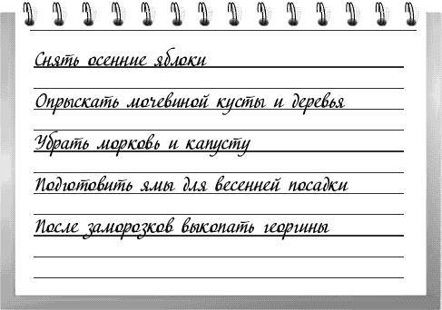 Чудо-грядки: не копаем, а урожай собираем