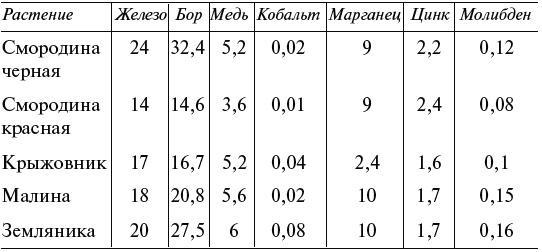 Чудо-грядки: не копаем, а урожай собираем