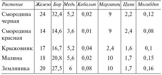 Огород по-русски. Мало сажаем, много собираем