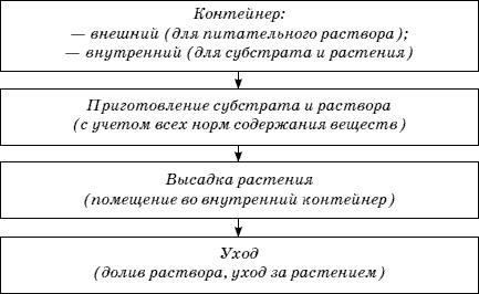 Огород у вас дома