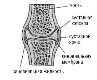 Лечимся едой. Болезни суставов и позвоночника. 200 лучших рецептов