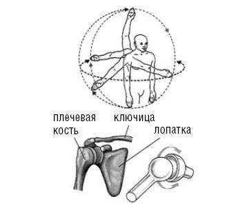 Лечимся едой. Болезни суставов и позвоночника. 200 лучших рецептов