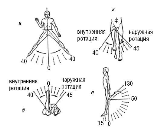 Лечимся едой. Болезни суставов и позвоночника. 200 лучших рецептов